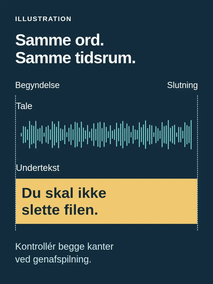Skematisk taleforløb og underteksten "Du skal ikke slette filen." med fælles start og slutning.
